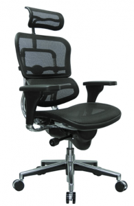 Ergohuman High Back Swivel Chair